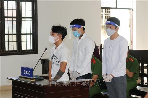 Ninh Thuận: Án phạt nghiêm khắc cho nhóm thanh niên vô cớ đánh người