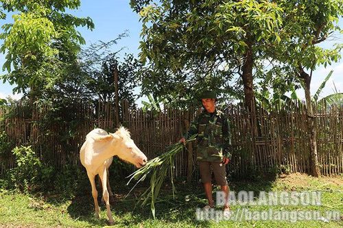 Cho vay hộ mới thoát nghèo ở Chi Lăng: Tạo đà thoát nghèo bền vữngTin khácChung tay phòng chống HIV/AIDS trong bối cảnh dịch COVID-19THÔNG BÁO NỘI DUNG, CHƯƠNG TRÌNH KỲ HỌP THỨ BẢY (KỲ HỌP THƯỜNG LỆ CUỐI NĂM 2021) HĐND TỈNH KHÓA XVII NHIỆM KỲ 2021 – 2026