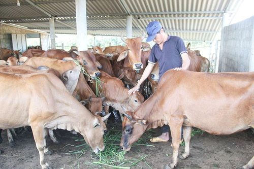 Phấn đấu đưa xã Hải Thái phát triển toàn diện, bền vững