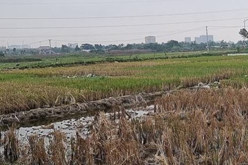 Hải Phòng: Tạm đình chỉ công tác 2 lãnh đạo phường phục vụ công tác điều tra