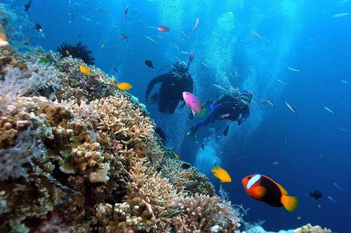 Khám phá biển Hòn Mun ở Khánh Hòa