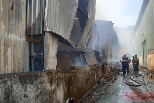 Điều tra vụ cháy lớn tại công ty chế biến gỗ ở Đồng Nai