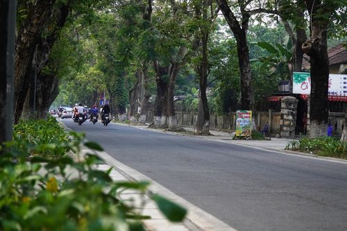 Huế xây dựng phố đêm 'không bia rượu' quanh di tích Hoàng thành