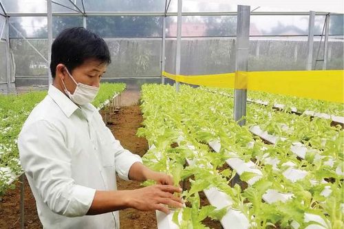 Kinh tế Khoa học - công nghệ Chủ động nâng tầm sản phẩm