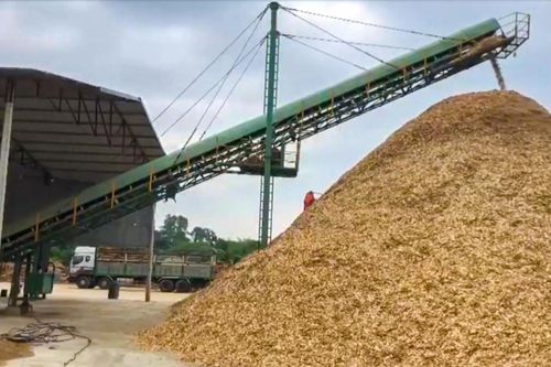 Đình chỉ hoạt động doanh nghiệp chế biến dăm gỗ trái phép