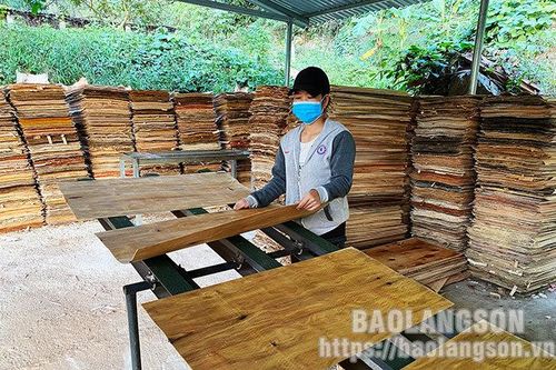 Bình Gia: Cần siết chặt quản lý hoạt động của các cơ sở chế biến gỗTin khácTrải thảm đón nhà đầu tưChung tay phòng chống HIV/AIDS trong bối cảnh dịch COVID-19