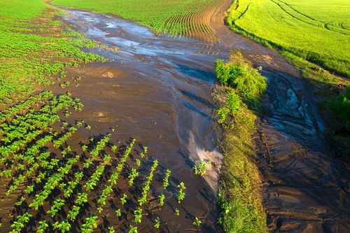 FAO: Báo động tình trạng suy thoái tài nguyên đất và nước trên toàn cầu