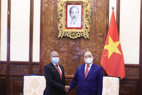 Chủ tịch nước: Vẫn còn nhiều tiềm năng hợp tác Việt Nam-Nam Phi