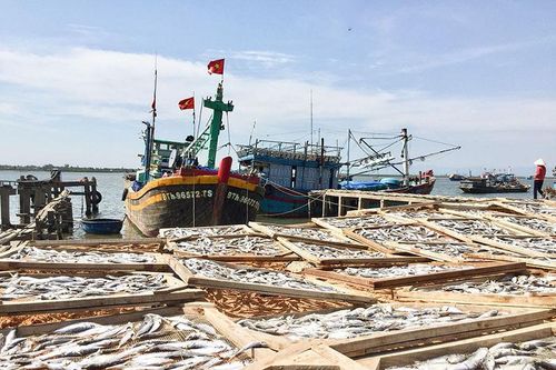 Để huyện Gio Linh mạnh từ biển, giàu từ biển