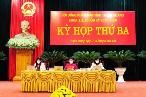 HĐND tỉnh nghe, xem xét các báo cáo, dự thảo nghị quyết trình tại kỳ họp