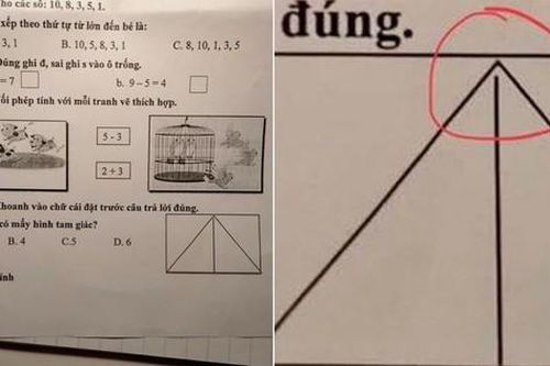 Bài Toán lớp 1 tưởng đơn giản nhưng lại khiến không ít học sinh THPT phải đau đầu