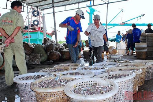 Khai thác gắn với bảo tồn nguồn lợi thủy sản
