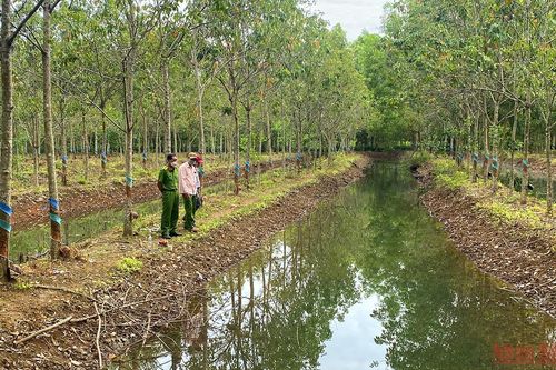 Hai bé gái đuối nước dưới mương ở Bình Phước