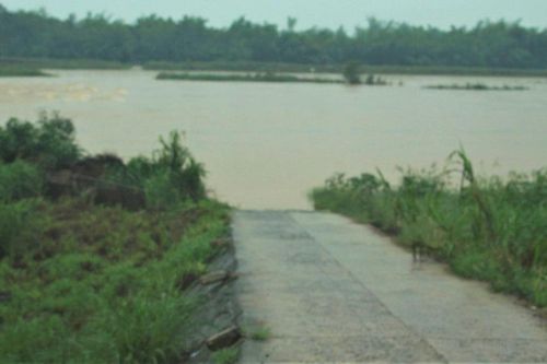 Quảng Ngãi: Lũ đã rút gần 1 tháng nhưng 'ốc đảo' Ân Phú vẫn bị cô lập