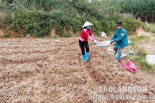 Hợp tác xã dịch vụ nông nghiệp thôn Chộc Pháo: Phát huy hiệu quả từ mô hình kinh tế tập thểTin khácTrải thảm đón nhà đầu tưChung tay phòng chống HIV/AIDS trong bối cảnh dịch COVID-19
