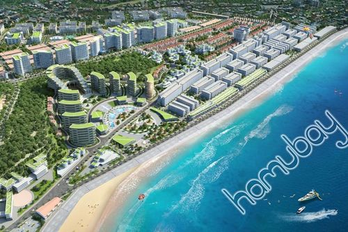 Thanh tra Chính phủ kết luận gì về 4 dự án 'khủng' tại Bình Thuận giao đất không qua đấu giá?