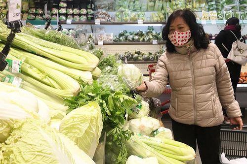 Chủ động kết nối tiêu thụ rau vụ đông