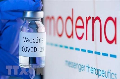Mối liên hệ giữa vaccine của Moderna và chứng viêm cơ tim