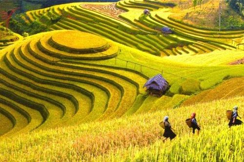 10 địa điểm nhất định phải book vé đi ngay khi hết dịch: Đẹp mê hồn, ăn uống rẻ, cùng khám phá nào!