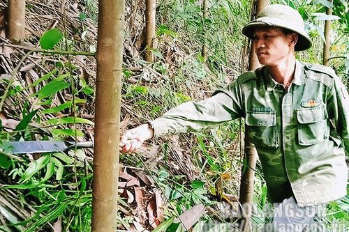 Cựu chiến binh Tràng Định: Gương mẫu, tích cực phát triển kinh tếTin khácTrải thảm đón nhà đầu tưChung tay phòng chống HIV/AIDS trong bối cảnh dịch COVID-19