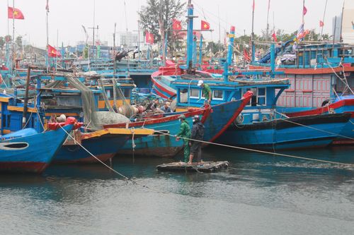 Hàng ngàn tàu cá của ngư dân miền Trung vào bờ tránh siêu bão số 9