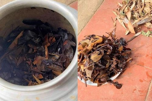 Uống thuốc nam trị viêm da, bé 13 ngày tuổi suy đa tạng nguy kịch