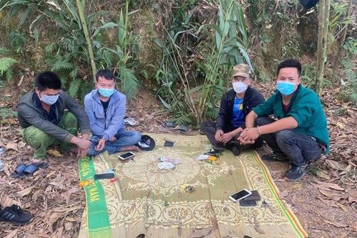 Bắt quả tang nhiều con bạc say sưa 'đỏ đen' trên đồi trồng keo