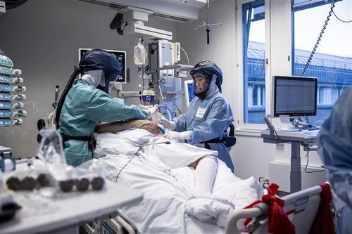 Thế giới có gần 274 triệu ca mắc COVID-19, hơn 5,3 triệu người tử vong