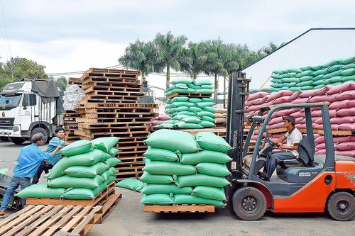 Gia Lai quyết tâm phòng-chống dịch hiệu quả, vừa phát triển kinh tế-xã hội