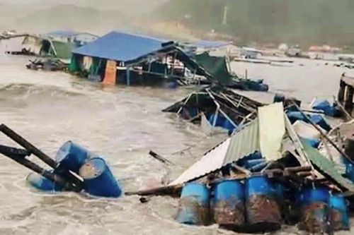 Sóng lớn đánh vỡ gần 100 bè nuôi tôm hùm ở Cam Ranh