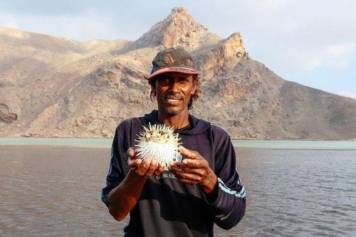 Ẩn sĩ của đảo Socotra