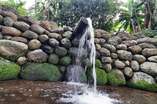 Lạ kỳ giếng cổ, rau liệt