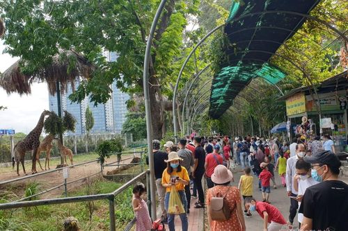Thảo Cầm Viên Sài Gòn bất ngờ đón hàng nghìn khách vui chơi ngày cuối tuần