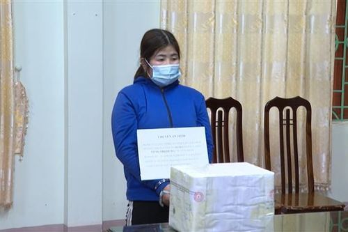 Lai Châu: Bắt giữ hai mẹ con mua bán trái phép chất ma túy