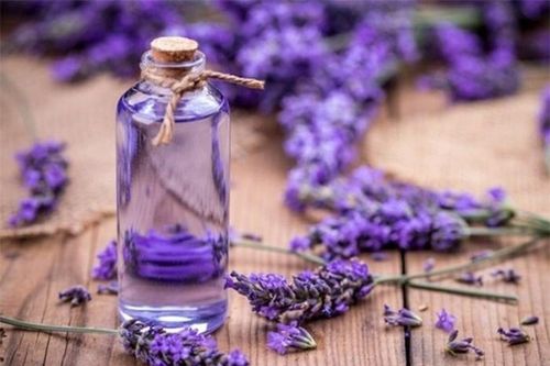 6 loại tinh dầu tự nhiên rẻ tiền dễ kiếm có thể đánh bay nếp nhăn, đẩy lùi lão hóa