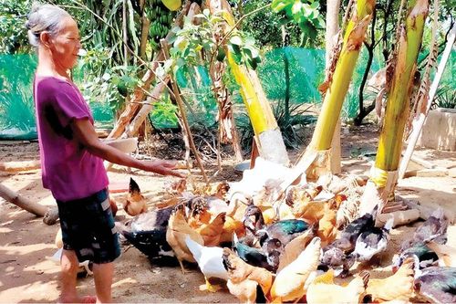Chính trị - Xã hội Phụ nữ Điểm tựa yêu thương.