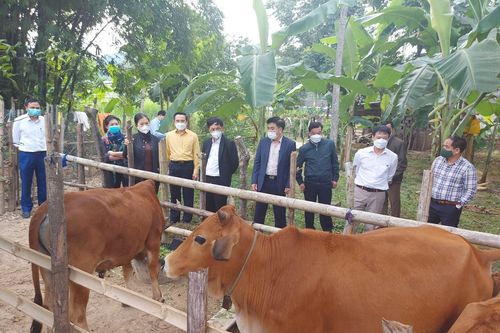 Phó Chủ tịch Trương Thị Ngọc Ánh kiểm tra dự án giảm nghèo tại Tương Dương