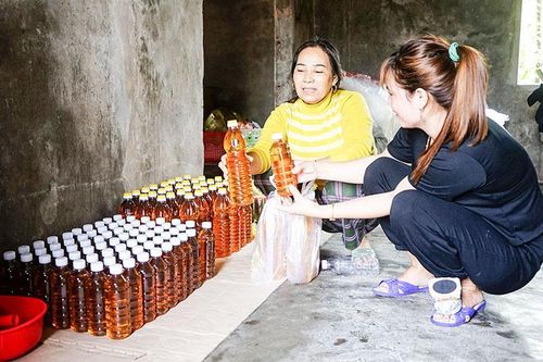 Lựa chọn sản phẩm chất lượng để phân hạng OCOP cấp tỉnh