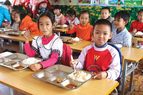 Nỗ lực điều chỉnh mức sinh thay thế phù hợp