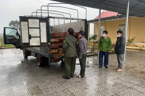 Phát hiện xe ô tô chở lượng lớn gỗ lậu