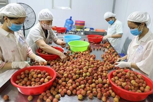 Công bố Chiến lược thúc đấy hợp tác kinh tế Việt Nam-Australia