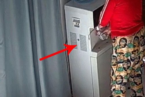 Con rắn bất ngờ chui ra từ bình lọc nước mà người phụ nữ không hề biết