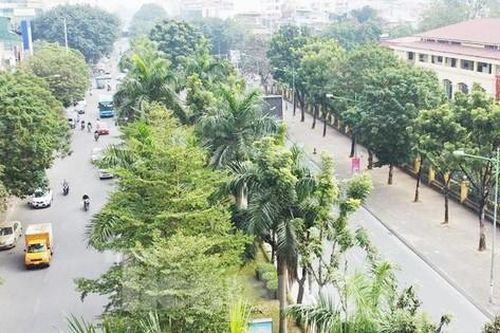 Cận cảnh dải phân cách đường Hoàng Quốc Việt trước ngày bị thu hẹp tới 70%