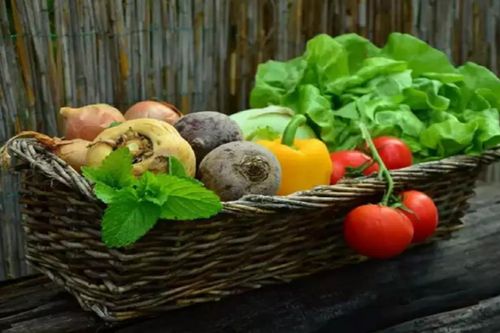 Những thực phẩm giúp tăng cường lượng sắt trong cơ thể