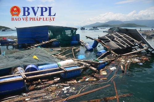 Bão số 9 khiến 2 người chết, hàng trăm lồng bè nuôi trồng thủy sản bị phá hủy