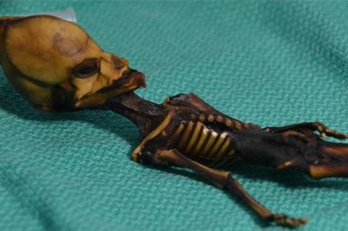 Sự thật về xác ướp 'người ngoài hành tinh' gây xôn xao 18 năm trước