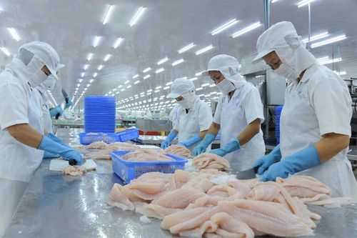 Một năm 3 lần, các doanh nghiệp kiến nghị bỏ quy định kiểm dịch thủy sản đông lạnh