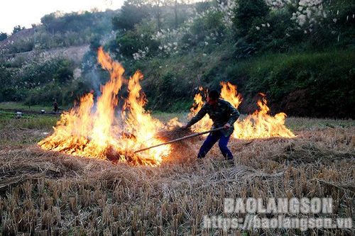 Đốt rơm rạ sau thu hoạch: Thói quen xấu cần từ bỏTin khácHọc trực tuyến: Cần hơn nữa sự trợ giúp cho học sinh nghèoTrải thảm đón nhà đầu tư