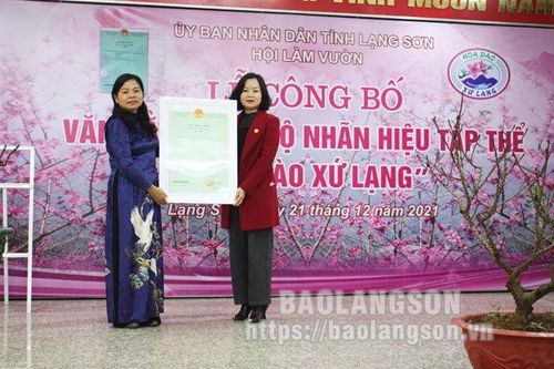 Công bố văn bằng bảo hộ nhãn hiệu tập thể 'Hoa đào Xứ Lạng'Tin khácNgành dân số Lạng Sơn: 60 năm xây dựng và phát triểnĐội Việt Nam tuyên truyền giải phóng quân - lực lượng tiền thân của Quân đội Nhân dân Việt Nam