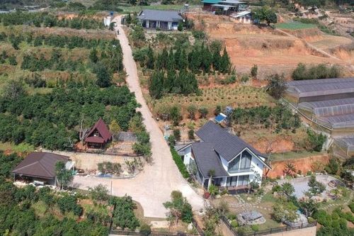 Đà Lạt: Yêu cầu xử nghiêm các trường hợp lấn chiếm đất lâm nghiệp